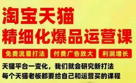 淘宝天猫精细化爆品运营课，免费流量打法-付费广告放大-利润增长-三大核心痛点，一次全部解决-知芽创业社