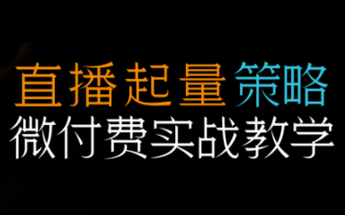 半野老师·直播带货起量与微付费必学课视频号-知芽创业社