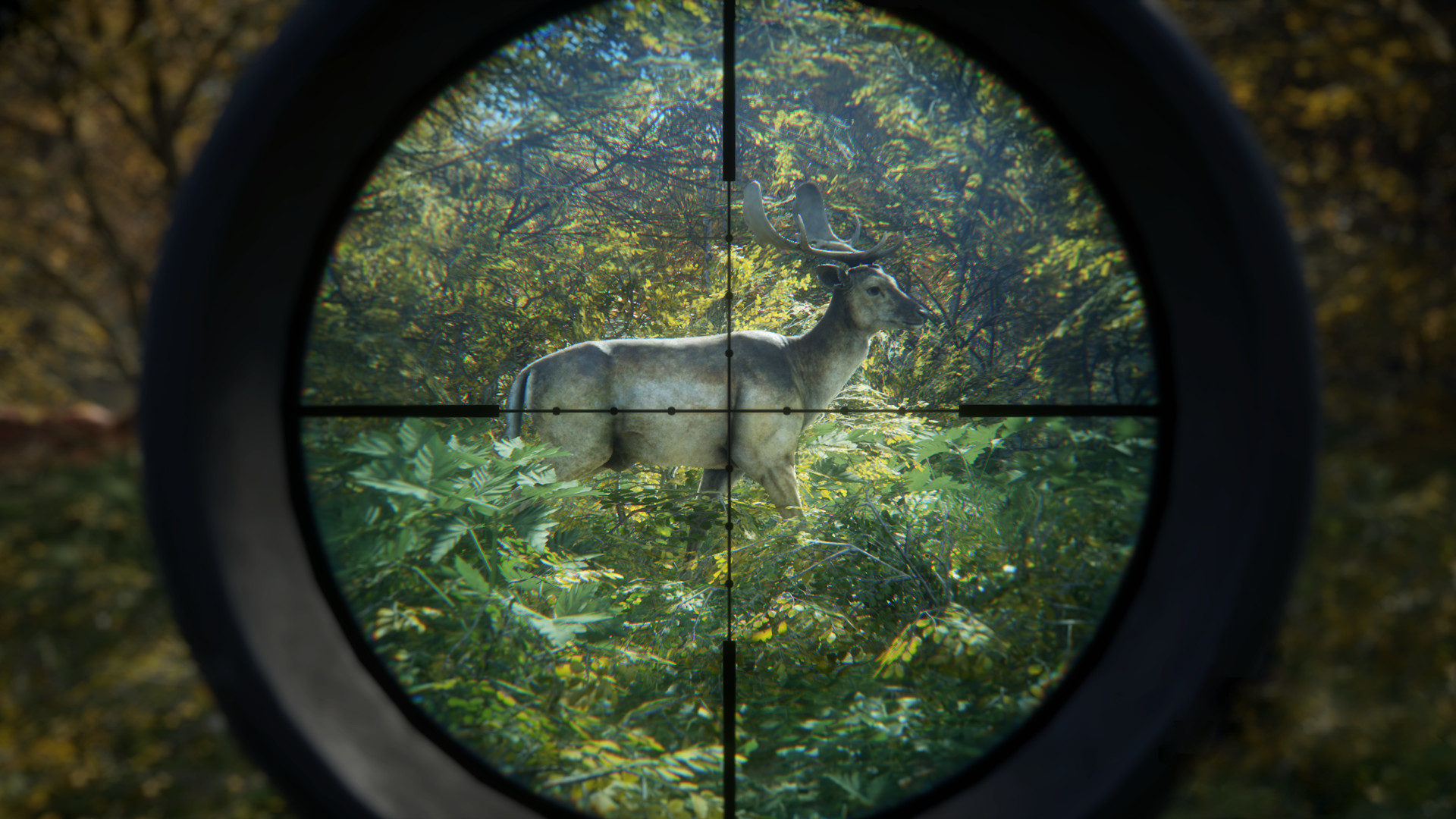 《猎人：荒野的召唤/theHunter: Call of the Wild》PC中文版下载-含v3101875-知芽创业社