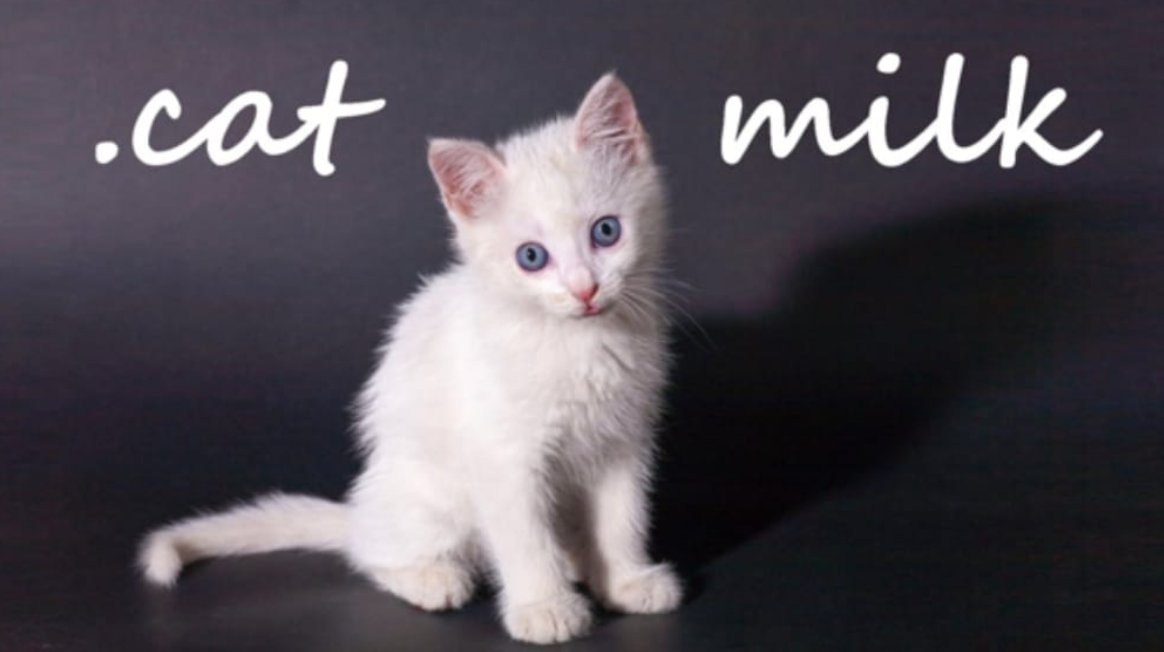 《小奶猫 .cat Milk》Switch英文版NSP下载-知芽创业社