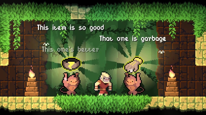 PC游戏《护林猿神 Dunjungle》中文+v1.0正式版-知芽创业社