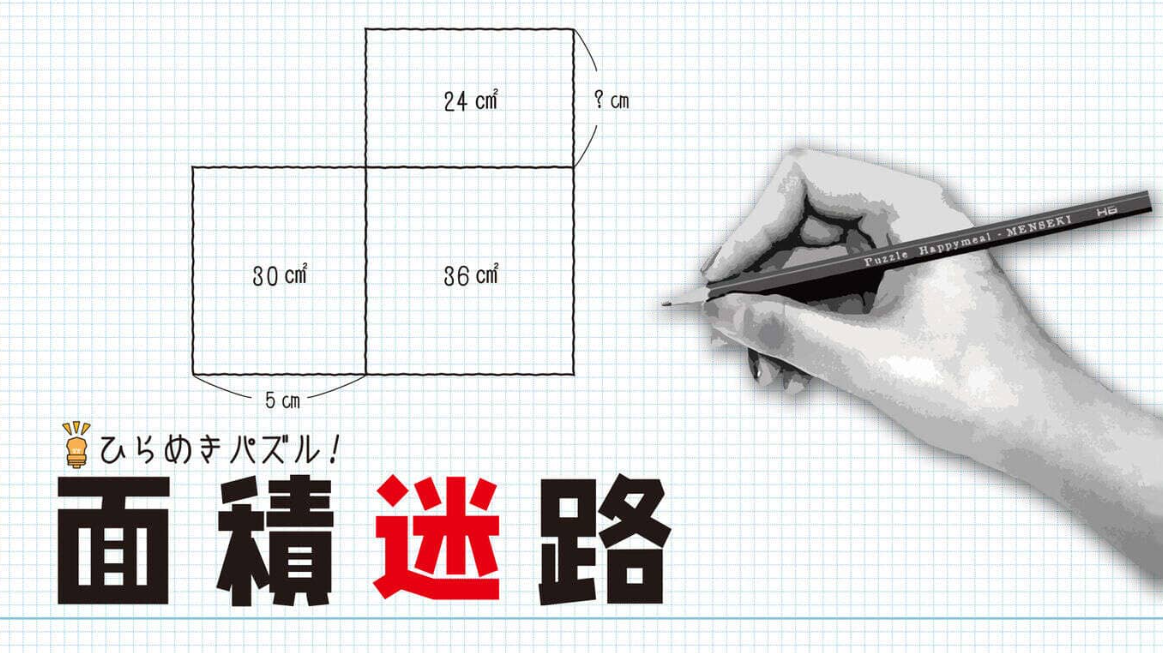 《闪烁的拼图 面积迷宫 MENSEKI Area maze puzzles》Switch英日文版NSZ下载-知芽创业社