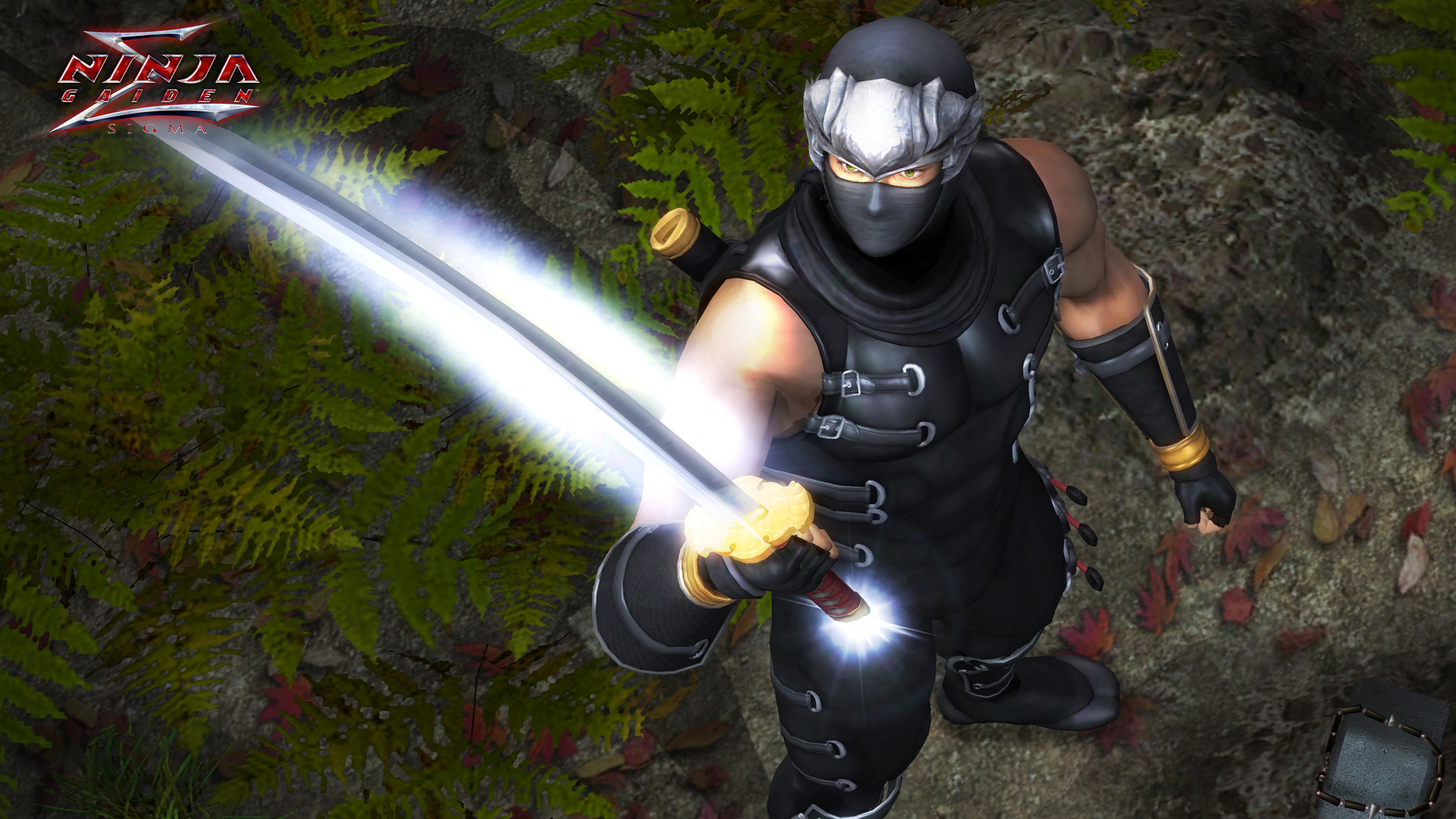 《忍者龙剑传：大师合集/NINJA GAIDEN: Master Collection》PC中文版下载-含v1.0.0.3-知芽创业社