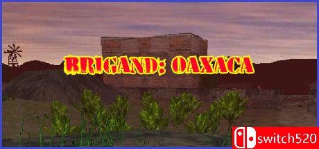 《盗团：瓦哈卡（Brigand: Oaxaca）》v17.6 [英文]-知芽创业社