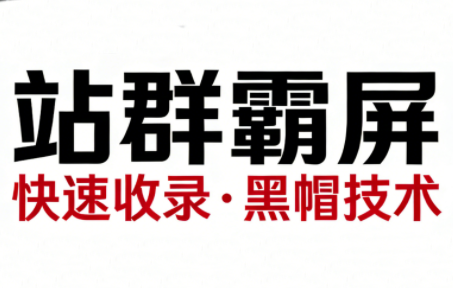 SEO野路子实战全集：快速收录、站群霸屏、黑帽技术-知芽创业社