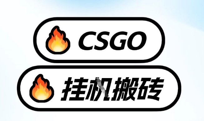 真全网独家CSGO挂G，最新玩法,单日捡漏1K+，不用电脑，不用打游戏【揭秘】-知芽创业社