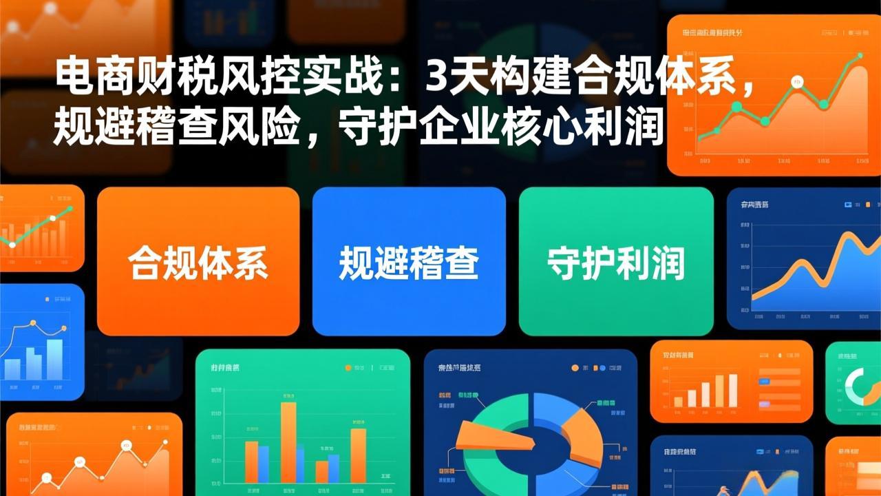 电商财税风控实战：3天构建合规体系，规避稽查风险，守护企业核心利润-知芽创业社