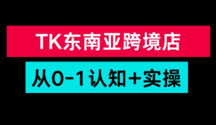 TikTok东南亚跨境从0-1认知实操课-知芽创业社