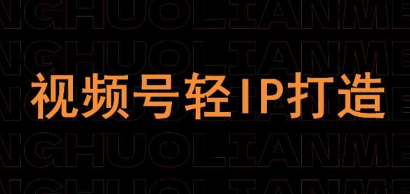 视频号线上课程，视频号轻IP打造-知芽创业社