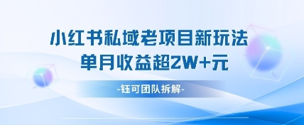 小红书私域项目新玩法，单月变现过W+-知芽创业社