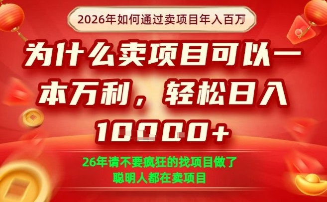 一单净利润1K+，26年想年入100个W，死磕卖项目就够了【揭秘】-知芽创业社