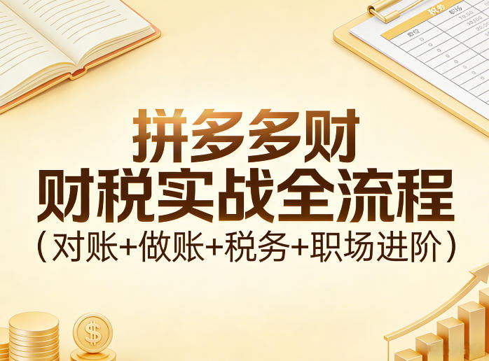 拼多多财税实战全流程(对账+做账+税务+职场进阶)-知芽创业社