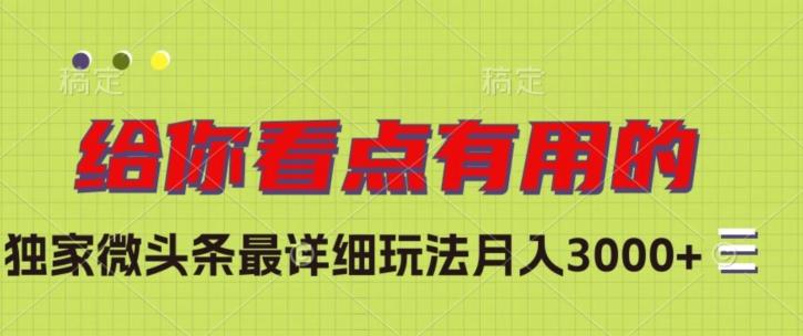 独家微头条最详细玩法，月入3000+【揭秘】-知芽创业社