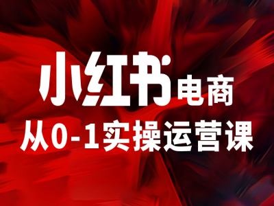 小红书电商从0-1实操运营课，让你从小白到精英-知芽创业社