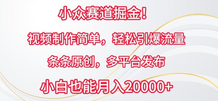 小众赛道掘金，视频制作简单，轻松引爆流量，条条原创，多平台发布【揭秘】-知芽创业社