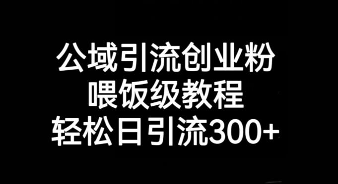 公域引流创业粉，喂饭级教程，轻松日引流300+【揭秘】-知芽创业社