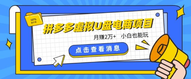 拼多多虚拟U盘电商红利项目：月赚2万+，新手小白也能玩-知芽创业社