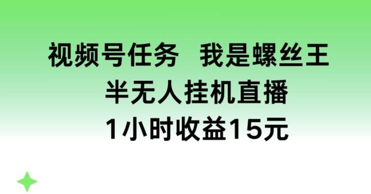 视频号任务，我是螺丝王， 半无人挂机1小时收益15元【揭秘】-知芽创业社