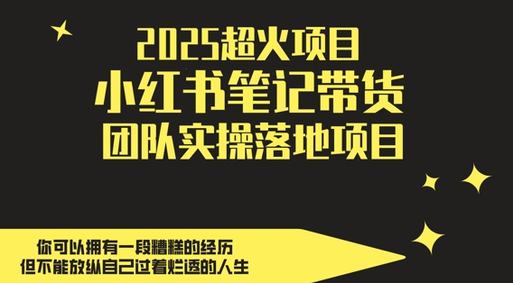 2025超火项目，副业最佳选择，小红书笔记带货团队实操落地项目，，轻松日入5张-知芽创业社