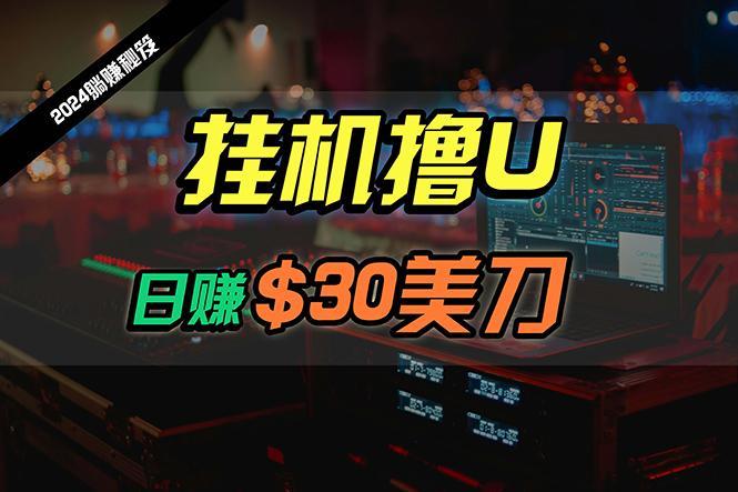 (10013期)日赚30美刀，2024最新海外挂机撸U内部项目，全程无人值守，可批量放大-知芽创业社