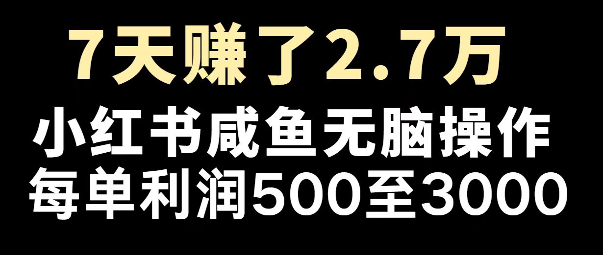 最赚钱项目之一，2025爆火，逆风翻盘！-知芽创业社