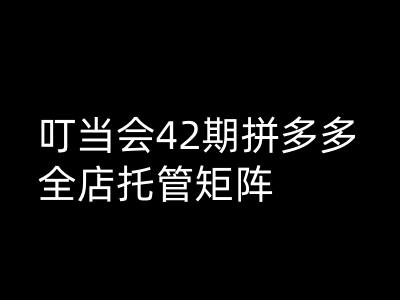 叮当会拼多多打爆班原创高阶技术第42期，拼多多全店托管矩阵-知芽创业社
