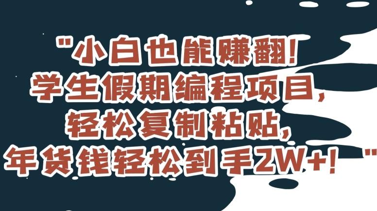 小白也能赚翻！学生假期编程项目，轻松复制粘贴，年货钱轻松到手2W+【揭秘】-知芽创业社