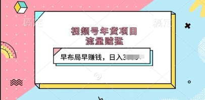 视频号年货项目，流量贼猛，早布局早挣钱，日入上k【揭秘】-知芽创业社