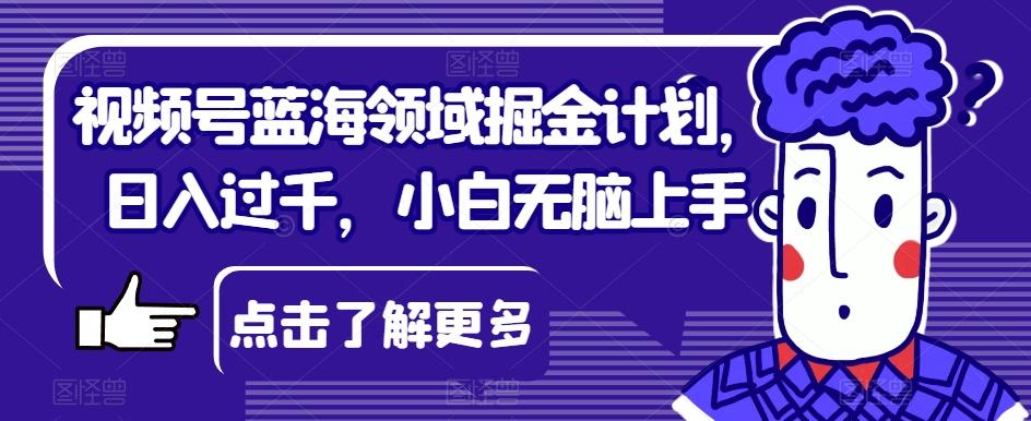 视频号蓝海领域掘金计划，日入过千，小白无脑上手【揭秘】-知芽创业社