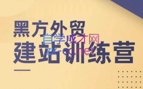 黑方老师·谷歌B端独立站建站推广-知芽创业社