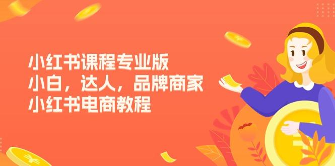 小红书课程专业版，小白，达人，品牌商家，小红书电商教程(15节-知芽创业社