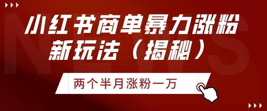 小红书商单暴力涨粉新玩法两个半月涨粉一万（揭秘）-知芽创业社