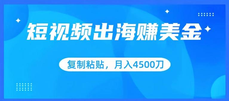 短视频出海赚美金，复制粘贴批量操作，小白轻松掌握，月入4500美刀【揭秘】-知芽创业社