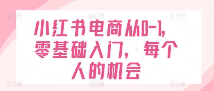 小红书电商从0-1，零基础入门，每个人的机会-知芽创业社