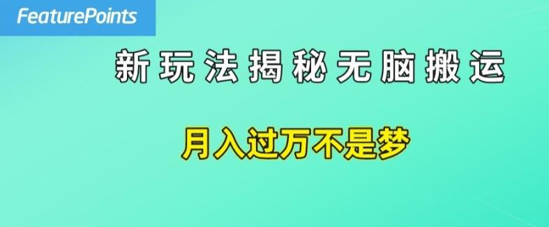 简单操作，每天50美元收入，搬运就是赚钱的秘诀【揭秘】-知芽创业社
