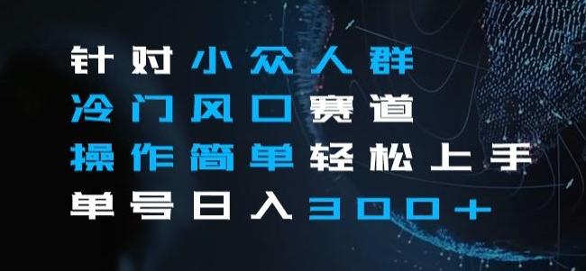 针对小众人群冷门风口赛道，操作简单轻松上手单号日入300+-知芽创业社
