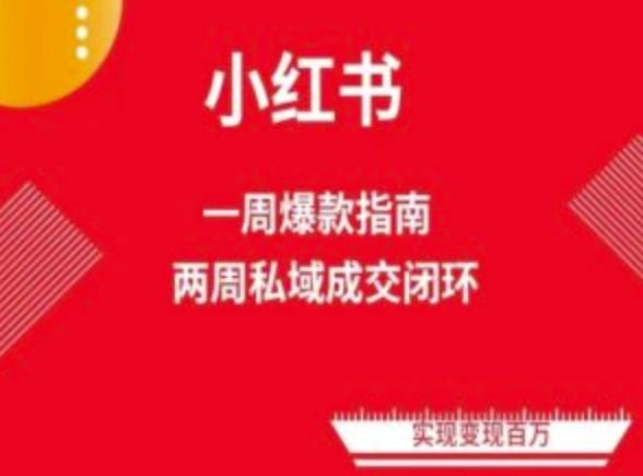 爆款小红书免费流量体系课程(两周变现)，小红书电商教程-知芽创业社