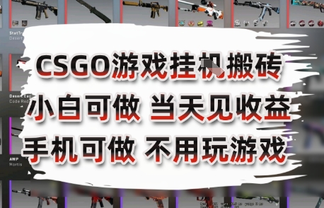 CSGO游戏挂G搬砖，小白纯手机即可操作，不用电脑打游戏，日入3张+，副业网创项目【揭秘】-知芽创业社