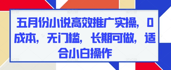 五月份小说高效推广实操，0成本，无门槛，长期可做，适合小白操作-知芽创业社