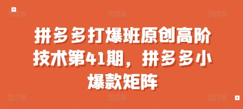 拼多多打爆班原创高阶技术第41期，拼多多小爆款矩阵-知芽创业社
