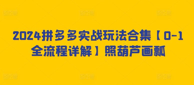 2024拼多多实战玩法合集【0-1全流程详解】照葫芦画瓢-知芽创业社