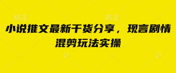 小说推文最新干货分享，现言剧情混剪玩法实操-知芽创业社