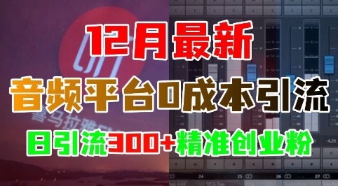 12月最新：音频平台0成本引流，日引流300+精准创业粉-知芽创业社