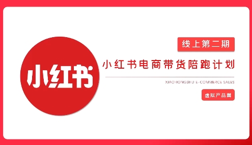 2025小红书虚拟电商实战课，从0到1打造无货源店铺，AI+爆款笔记轻松变现-知芽创业社