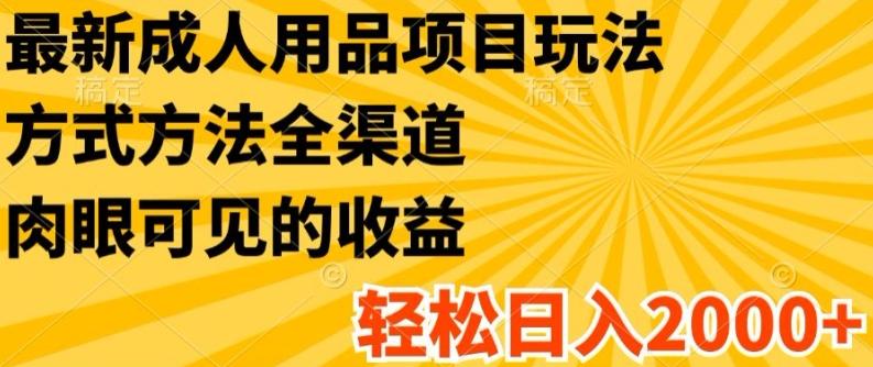最新成人用品项目玩法，方式方法全渠道，轻松日入2K+【揭秘】-知芽创业社