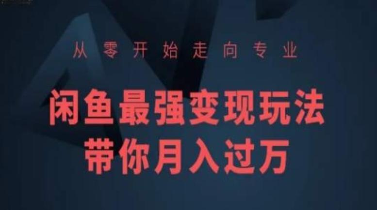 从零开始走向专业，闲鱼最强变现玩法带你月入过万-知芽创业社