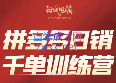 白凤电商学院·拼多多日销千单训练营(更新7月)-知芽创业社