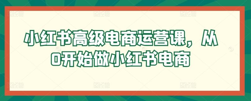 小红书高级电商运营课，从0开始做小红书电商-知芽创业社