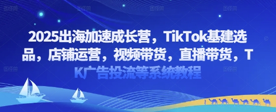 2025出海加速成长营，TikTok基建选品，店铺运营，视频带货，直播带货，TK广告投流等系统教程-知芽创业社