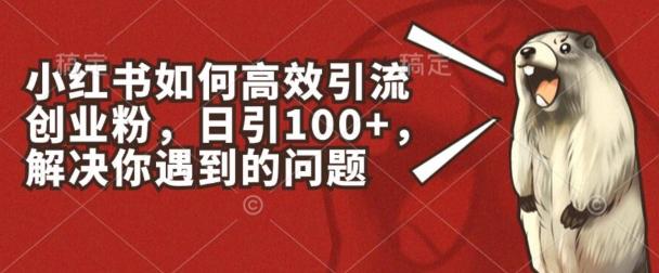 小红书如何高效引流创业粉，日引100+，解决你遇到的问题【揭秘】-知芽创业社